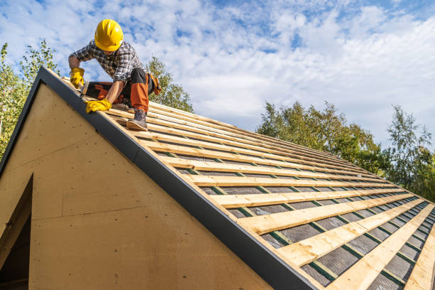 Best New Roof Installation  in Rainbow Park, FL