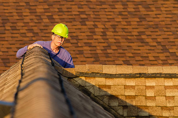 Best Storm Damage Roof Repair  in Rainbow Park, FL